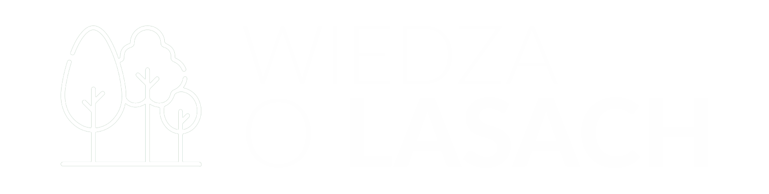 Logo Wiedza o Lasach